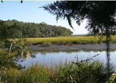 Cape Fear Coast