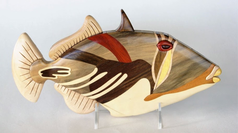 brad-hazel-eklund-picasso-triggerfish