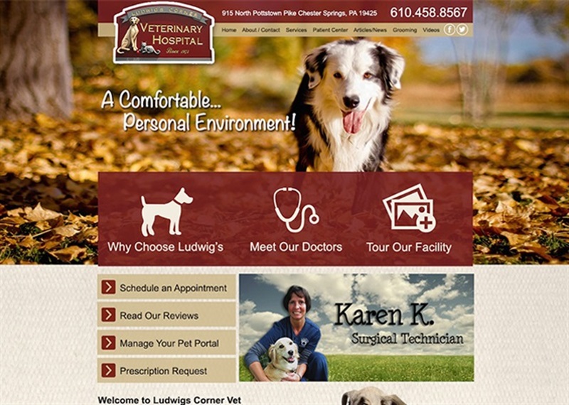 Ludwigs Veterinary Hospital - Web Design