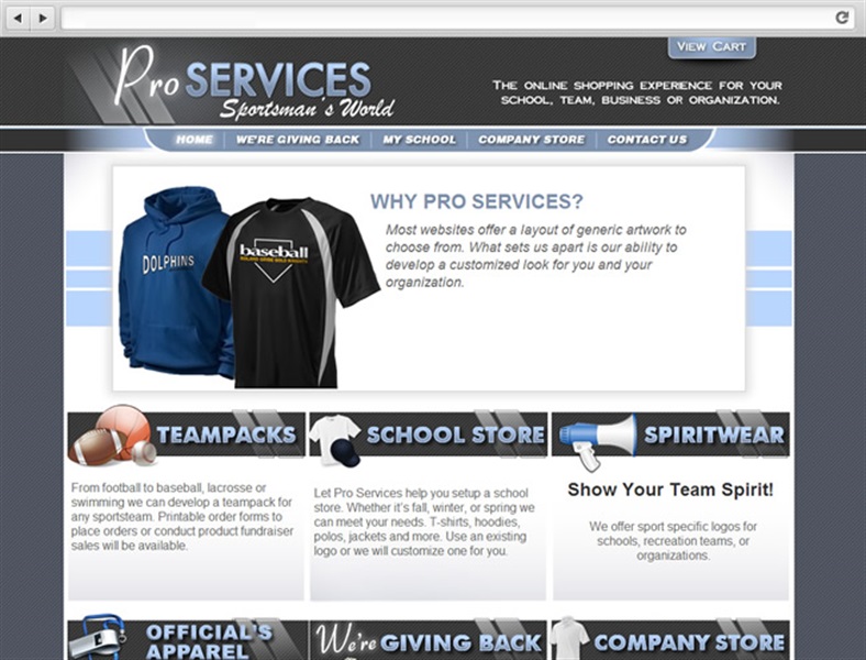 Pro Services Online