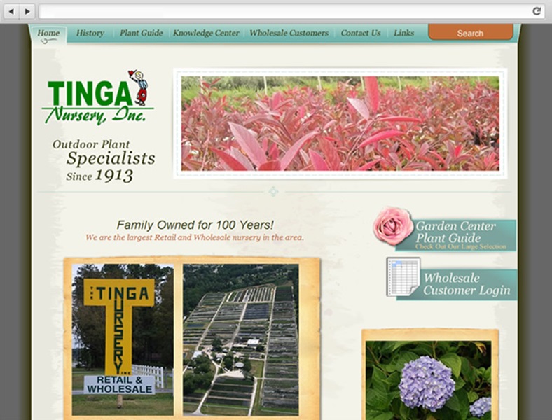 Tinga Nursery