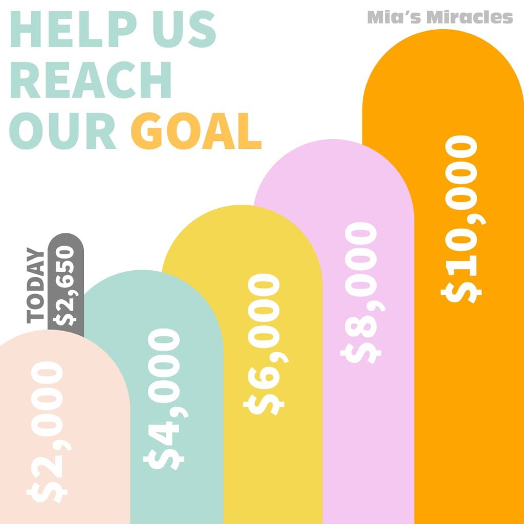 Help us reach our goal