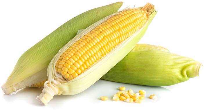 Corn on the cob