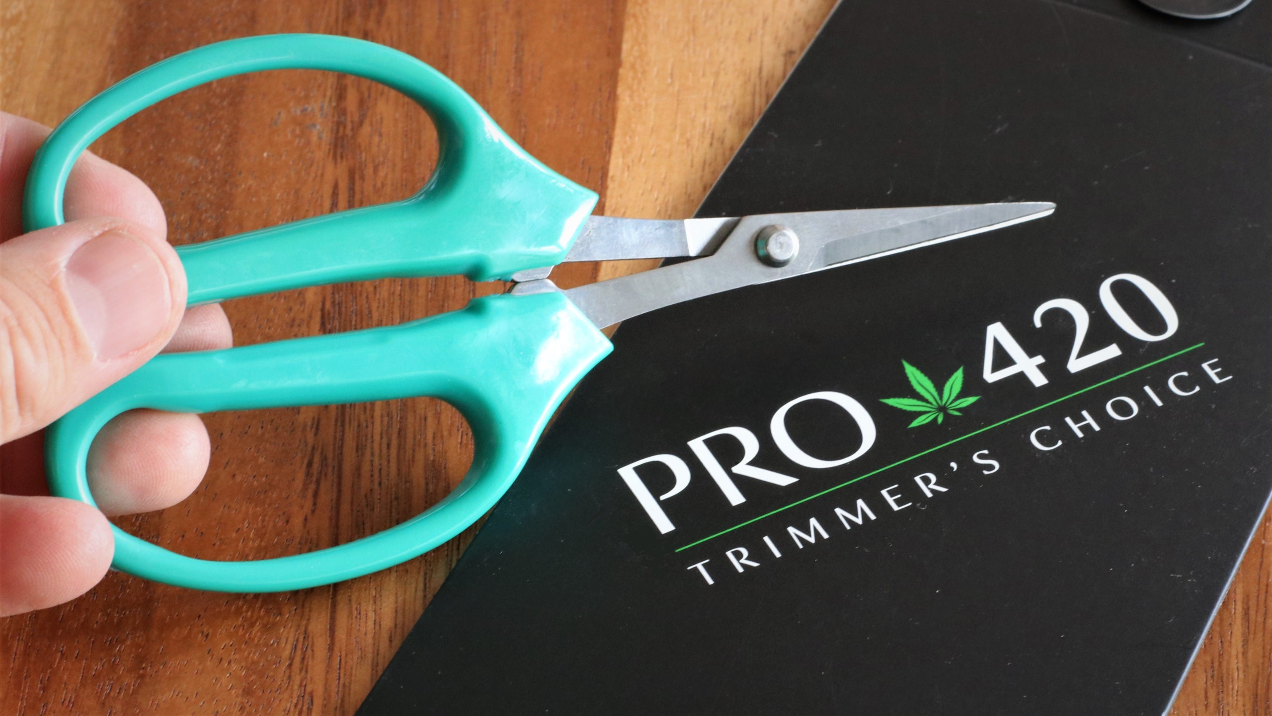 PRO 420 Classic Silver Scissors- 2 Pack- Harvest Scissors- Trim-Manicure-Professional Grade Scissors