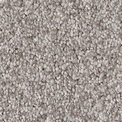 Anderson Tuftex Carpet