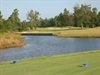champ image 995337