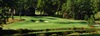 champ image 1220717