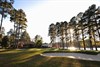 champ image 1096210