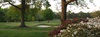 champ image 1721871