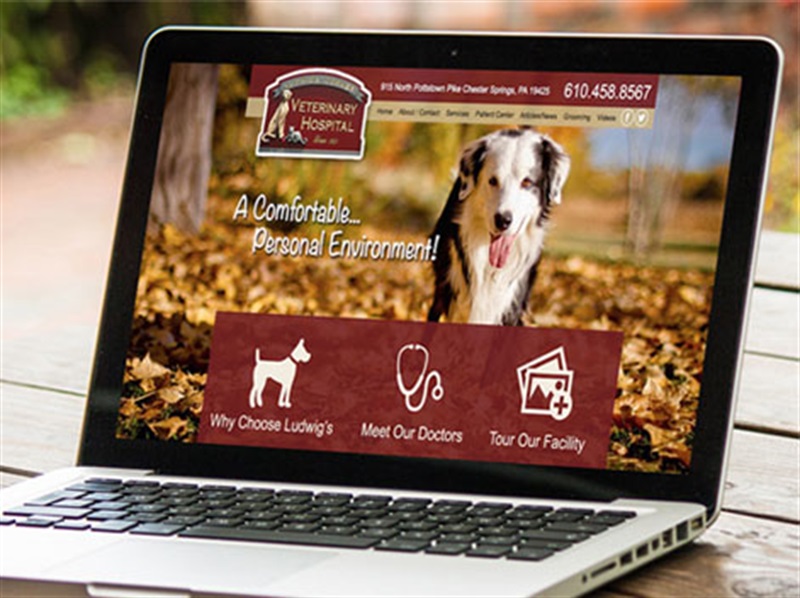 Ludwigs Corner Veterinary Hospital