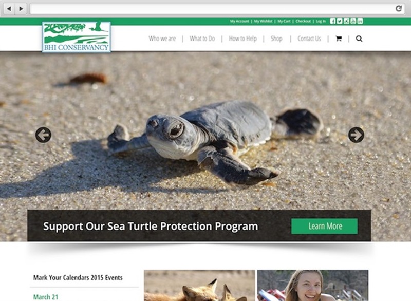 Bald Head Island Conservancy